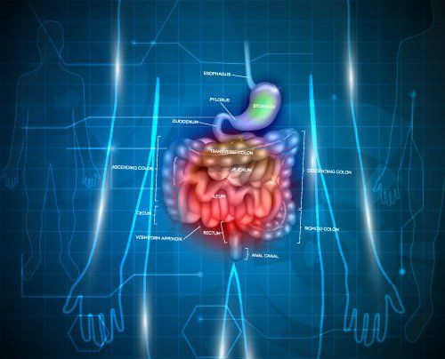 Study Shows Nivolumab-Chemo Combination Improves Survival in Gastric and Esophageal Cancers