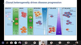 Liu J (2022): Long-term in vivo imaging of multiple myeloma in the bone marrow microenvironment